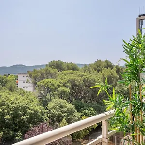 Grand T2 Lumineux Et Climatise Avec Balcon Appartement